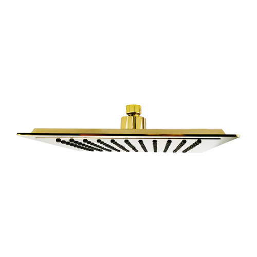 Bien Banyo UltraSlim Square Kare Tepe Duş Başlığı Altın